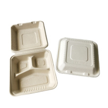 Bagasse Containers Big 3 Columms Clamshell Beach Box